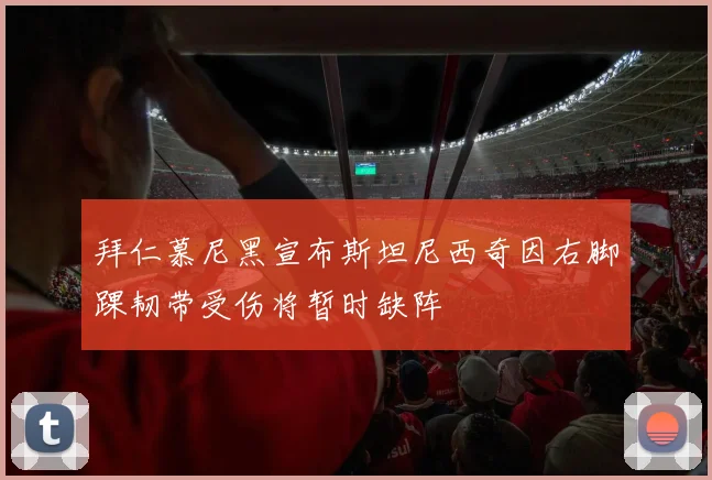 拜仁慕尼黑宣布斯坦尼西奇因右脚踝韧带受伤将暂时缺阵