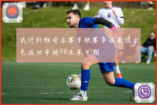 武什科维奇本赛季联赛争顶表现出色成功率超90未来可期