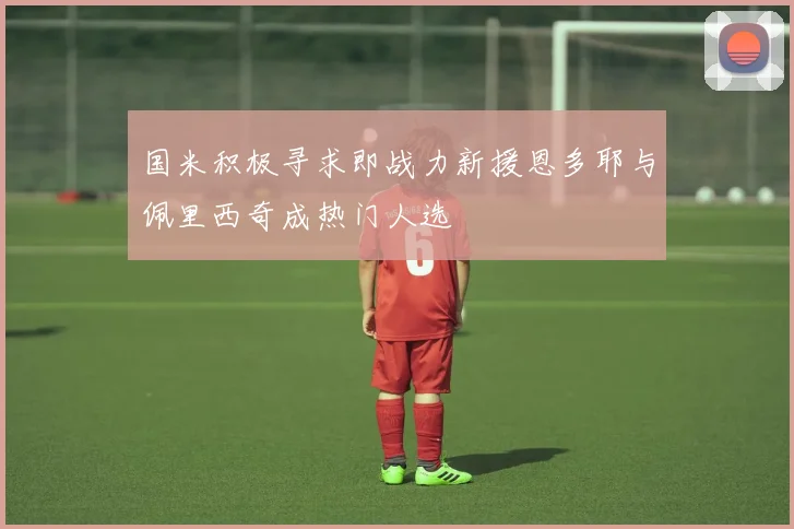 国米积极寻求即战力新援恩多耶与佩里西奇成热门人选