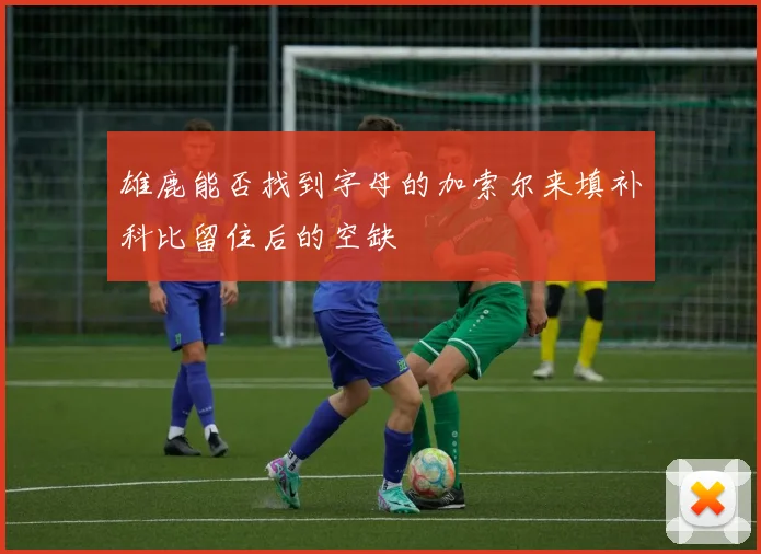 雄鹿能否找到字母的加索尔来填补科比留住后的空缺