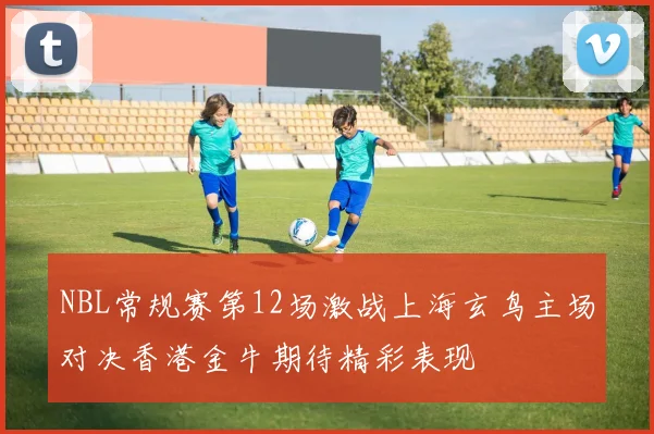 NBL常规赛第12场激战上海玄鸟主场对决香港金牛期待精彩表现