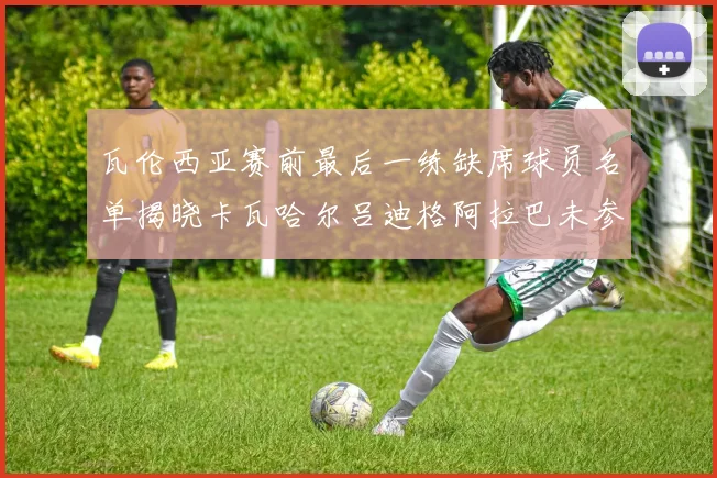 瓦伦西亚赛前最后一练缺席球员名单揭晓卡瓦哈尔吕迪格阿拉巴未参与训练